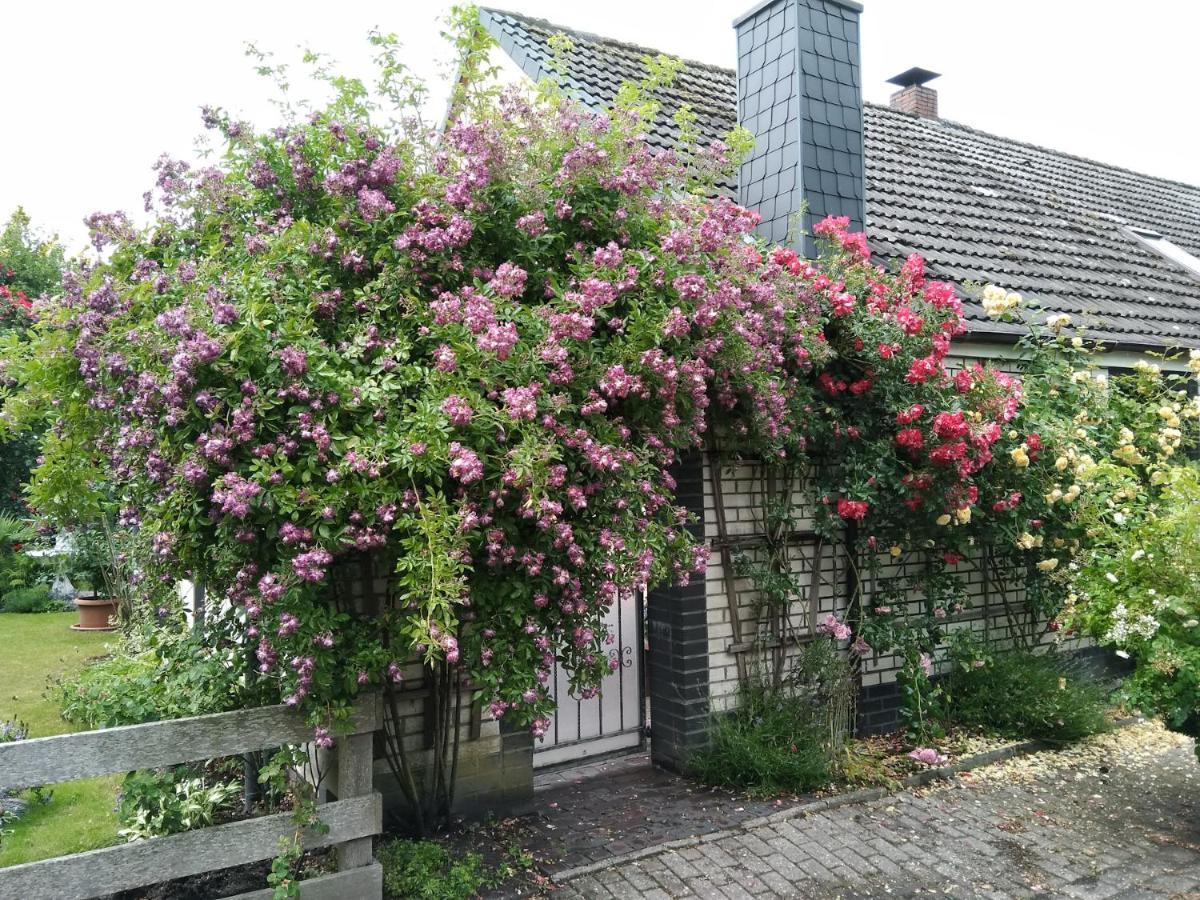 דירות שיליג Haus Sielblick מראה חיצוני תמונה
